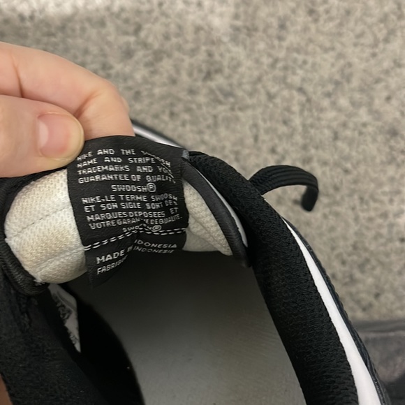 Panda Dunk Lows - Picture 5 of 6